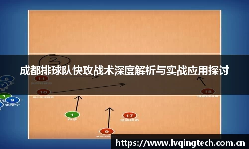 成都排球队快攻战术深度解析与实战应用探讨