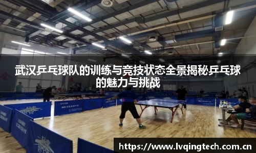 武汉乒乓球队的训练与竞技状态全景揭秘乒乓球的魅力与挑战